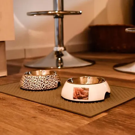 Dom wakacyjny Goersumer Buedschhaus Büsum