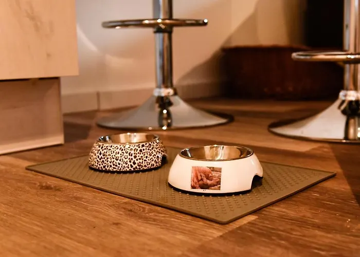 Vakantiehuis Goersumer Buedschhaus Büsum