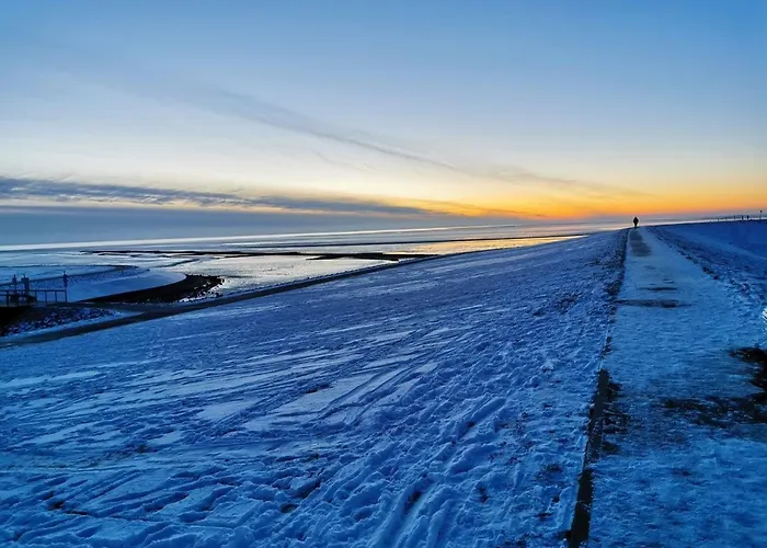 Vakantiehuis Goersumer Buedschhaus